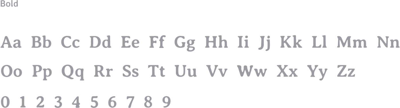 p2_13 Font Family
